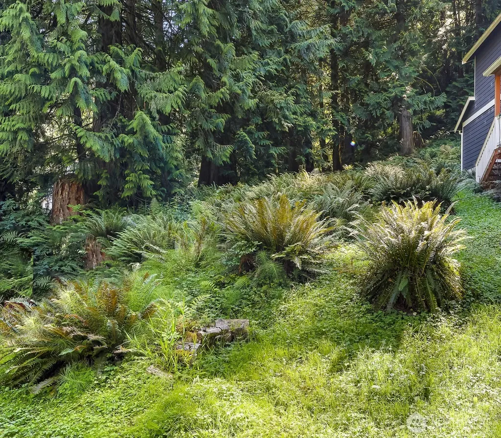 14 Woodpecker Place Bellingham WA 98229