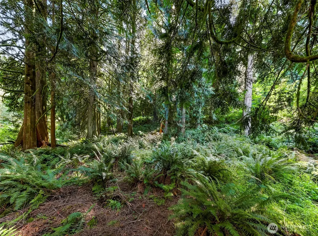 14 Woodpecker Place Bellingham WA 98229