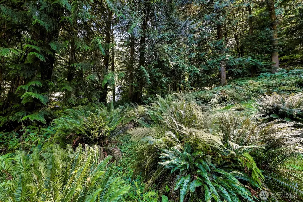 14 Woodpecker Place Bellingham WA 98229