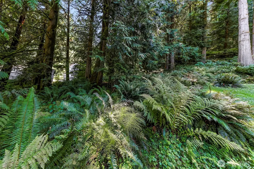 14 Woodpecker Place Bellingham WA 98229