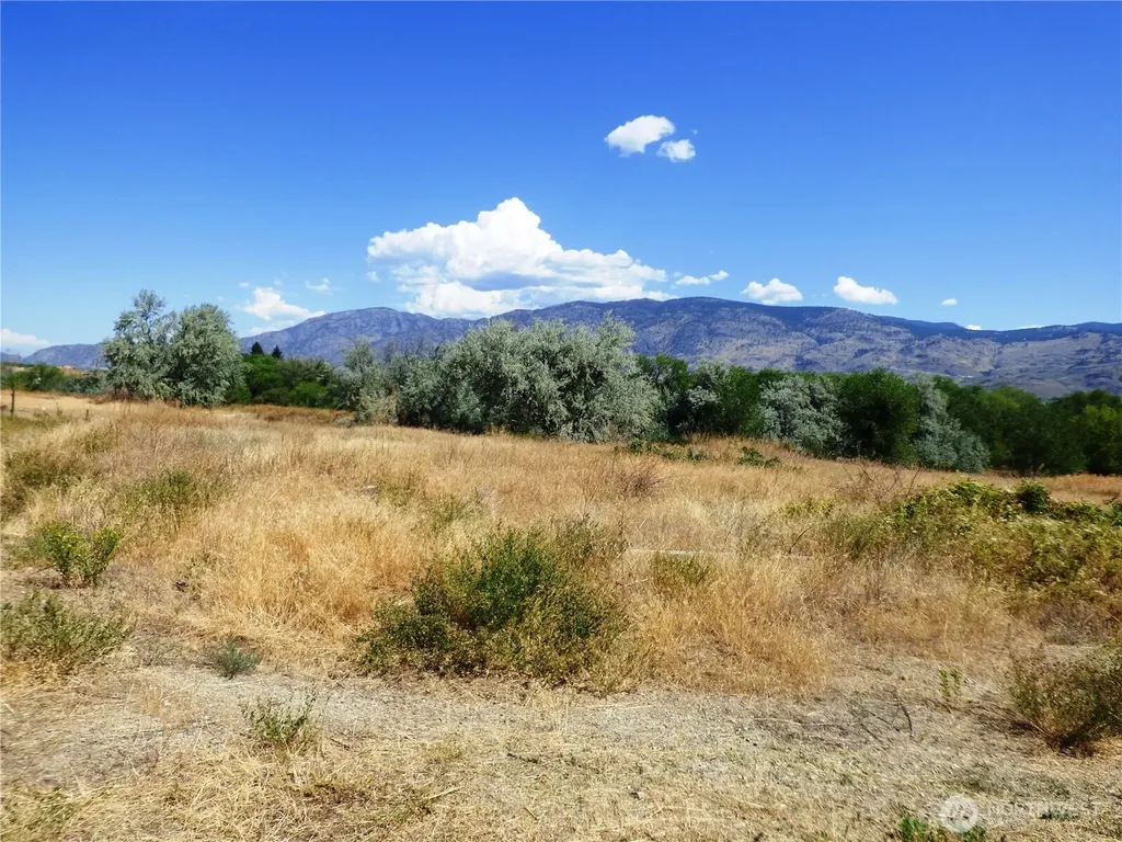 17 Swann Lane Oroville WA 98844