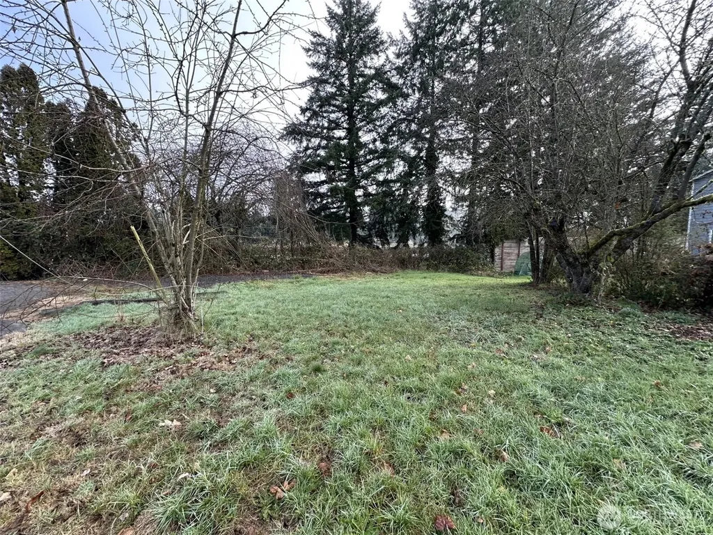 0 Pioneer Avenue Castle Rock WA 98611