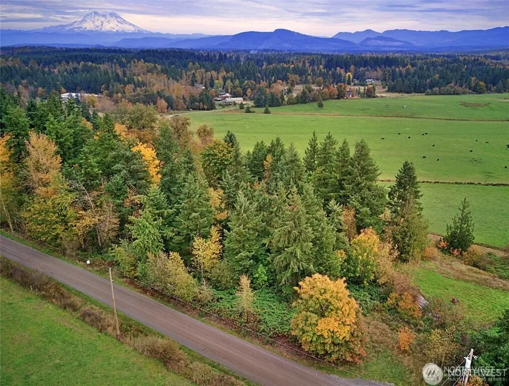 19441 Cougar Mountain Airport Road SE Yelm WA 98597