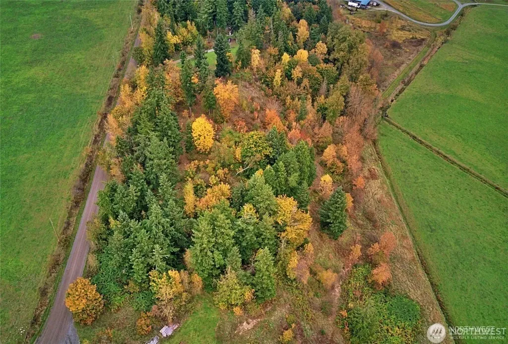 19441 Cougar Mountain Airport Road SE Yelm WA 98597