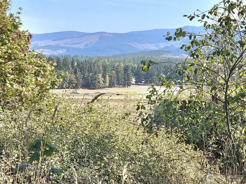 19441 Cougar Mountain Airport Road SE Yelm WA 98597