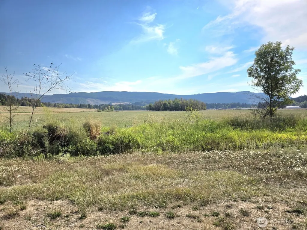 19441 Cougar Mountain Airport Road SE Yelm WA 98597