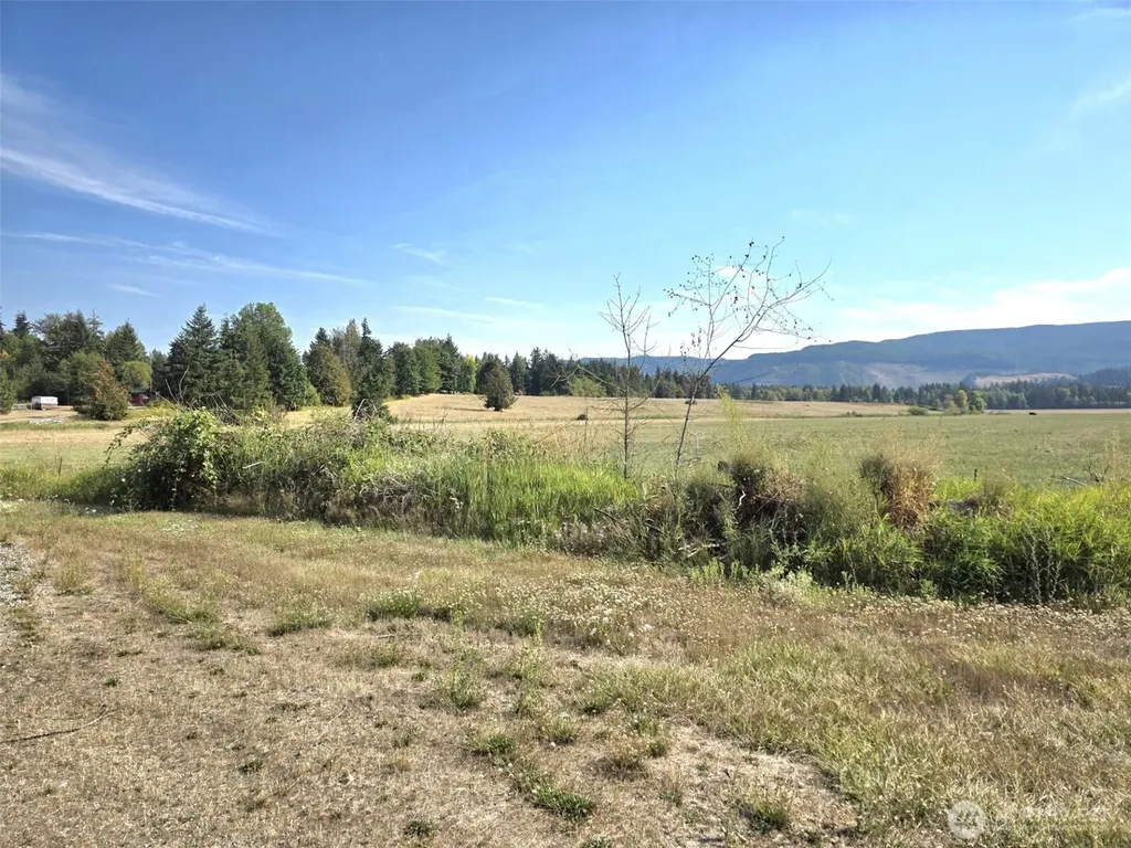 19441 Cougar Mountain Airport Road SE Yelm WA 98597