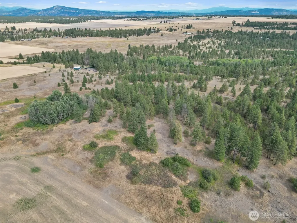 228 W Four Mound Road Nine Mile Falls WA 99026
