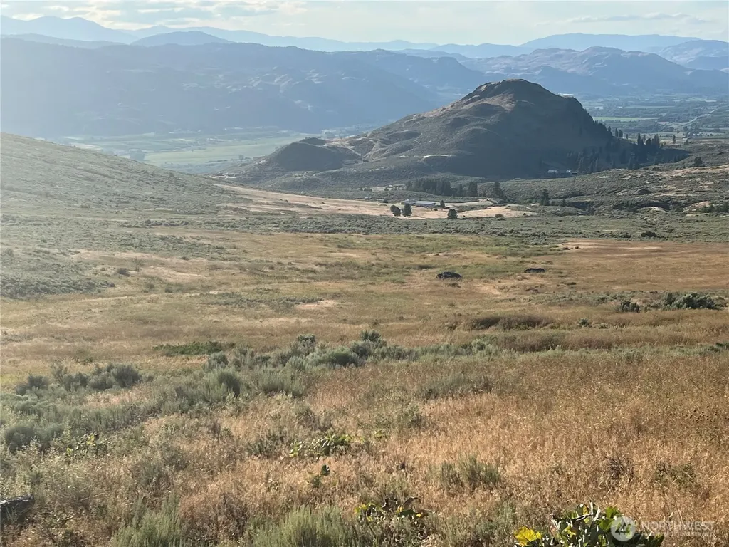 0 Airport Pickens Mtn Road Oroville WA 98844