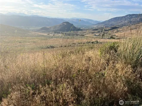 0 Airport Pickens Mtn Road Oroville WA 98844