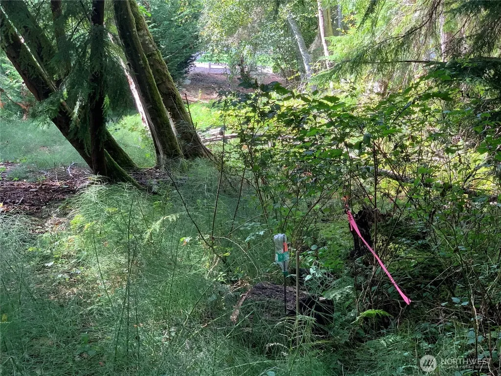1239 Nooksack Drive Fox Island WA 98333