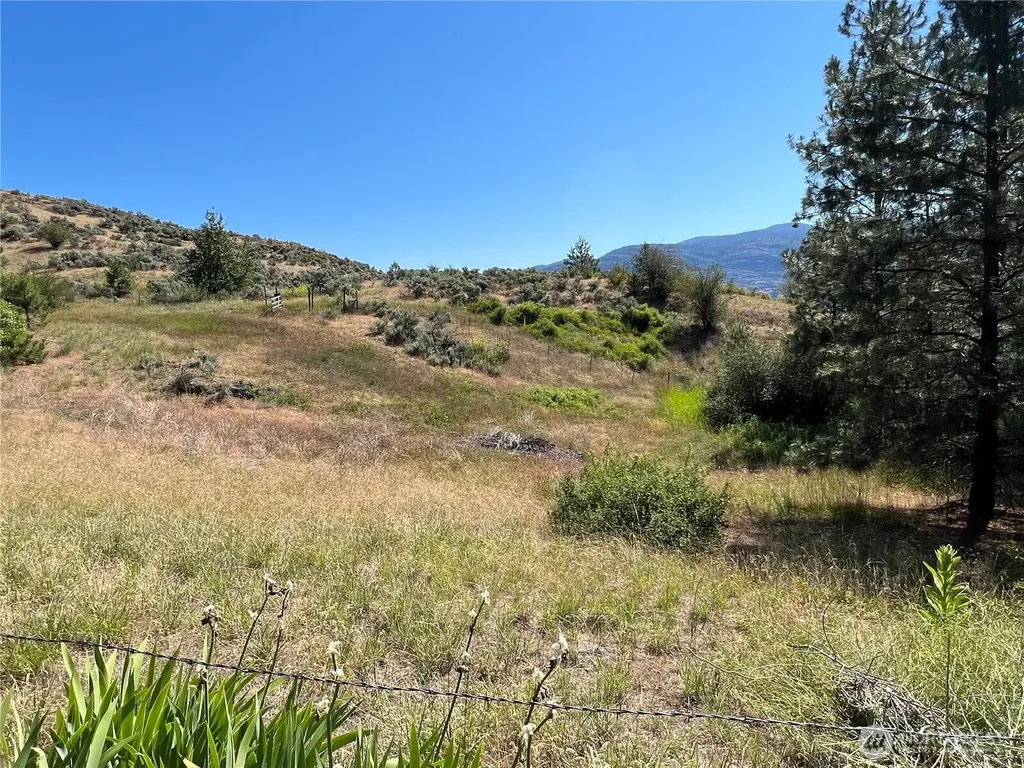 113 Eagles Bluff Road Oroville WA 98844