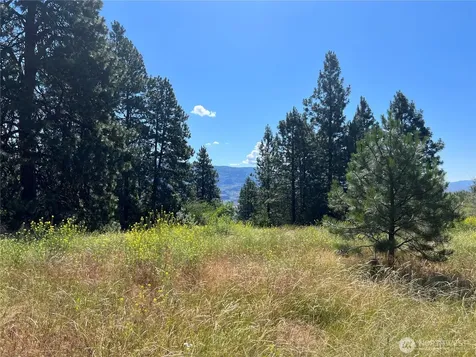 113 Eagles Bluff Road Oroville WA 98844