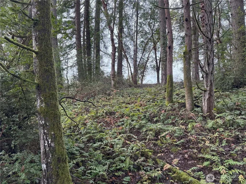 7719 Rosedale Street NW Gig Harbor WA 98335