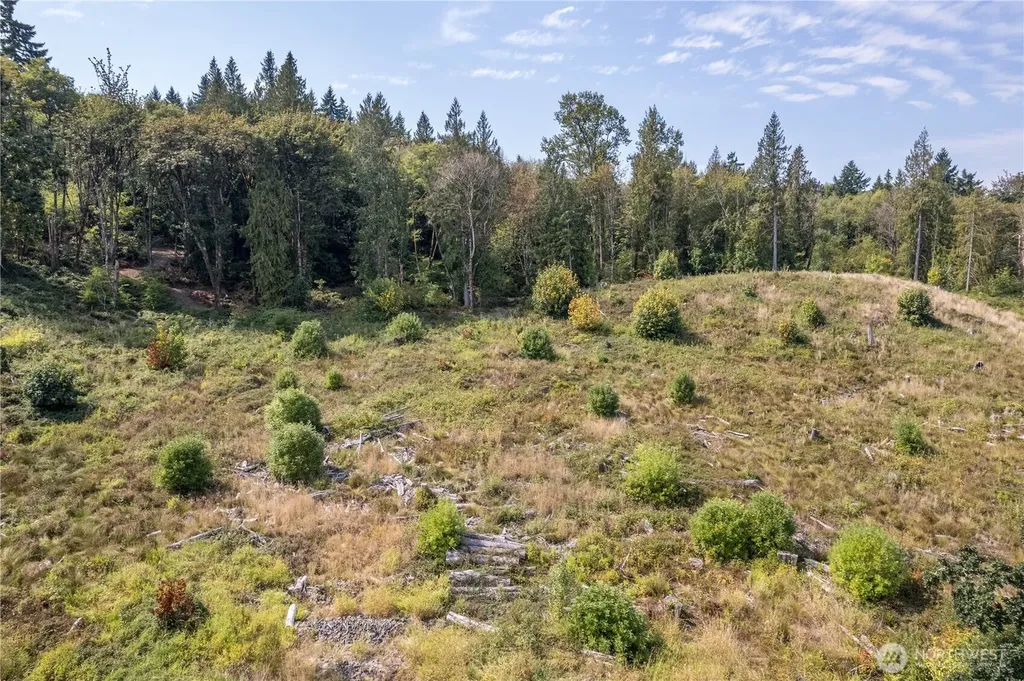 0 Newaukum Valley Road Chehalis WA 98532