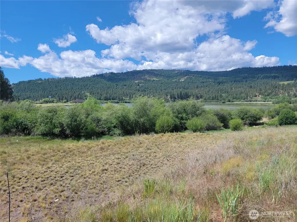 0 Curlew Drive Republic WA 99166