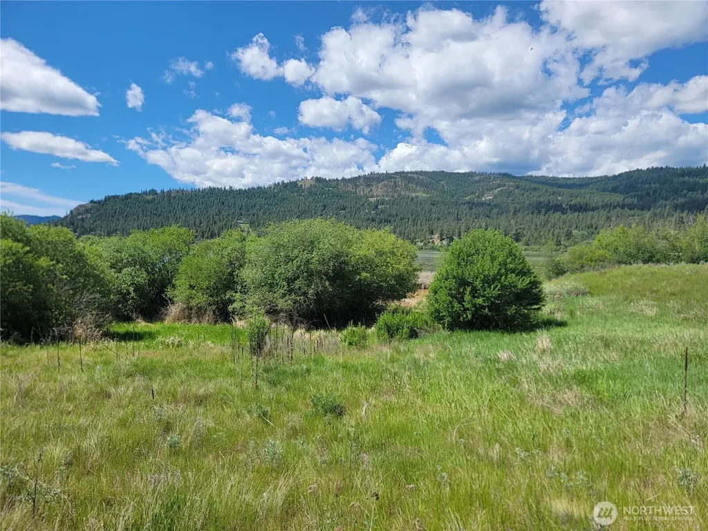0 Curlew Drive Republic WA 99166