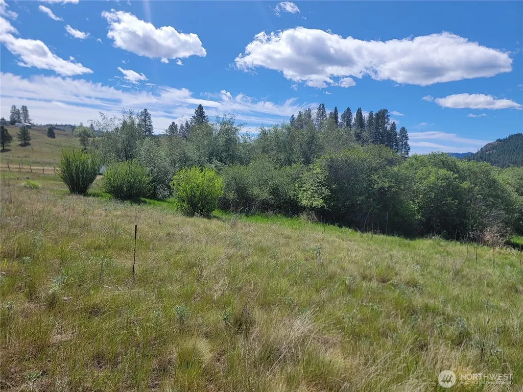 0 Curlew Drive Republic WA 99166
