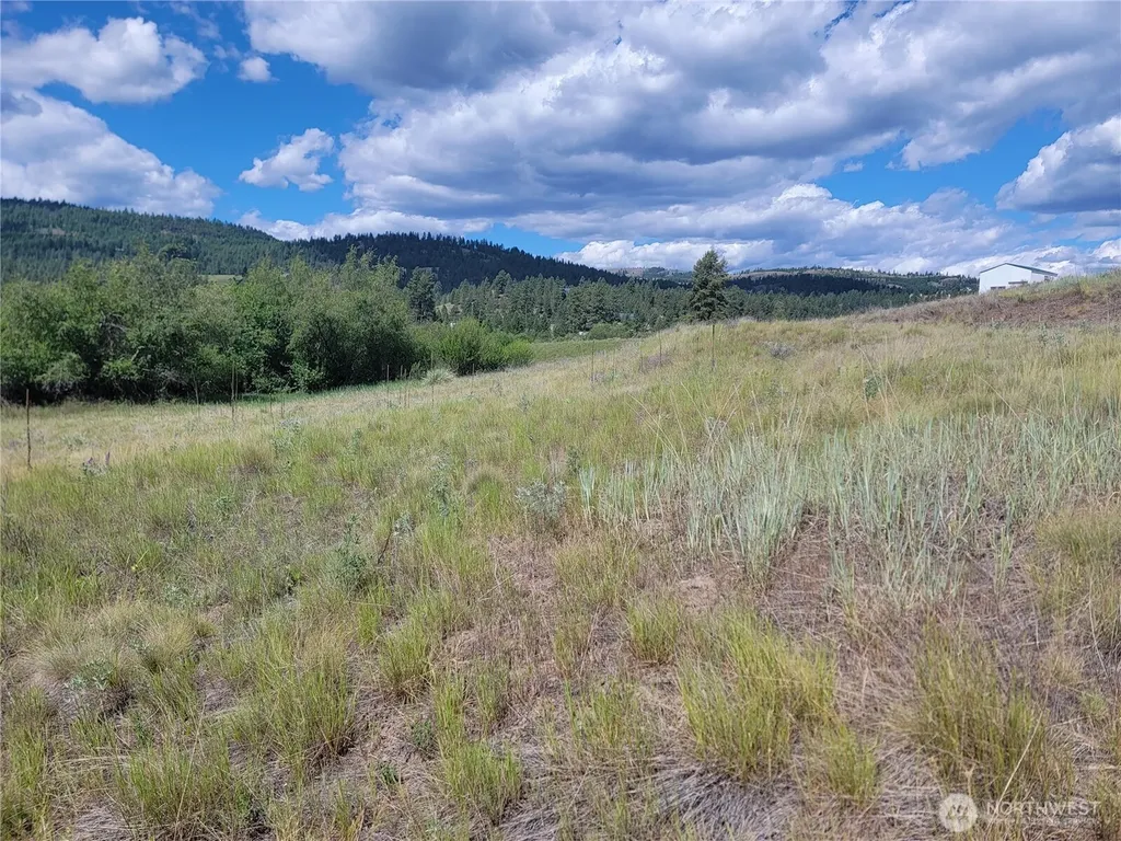 0 Curlew Drive Republic WA 99166