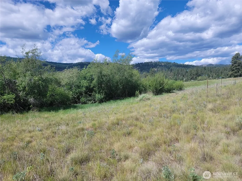 0 Curlew Drive Republic WA 99166