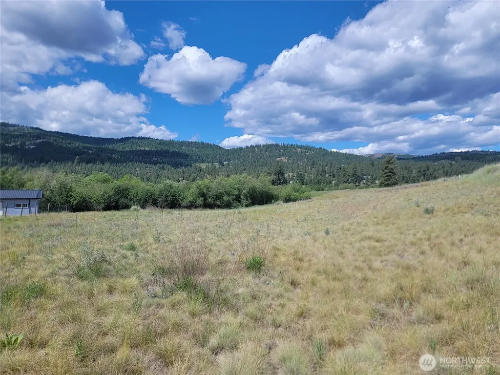 0 Curlew Drive Republic WA 99166