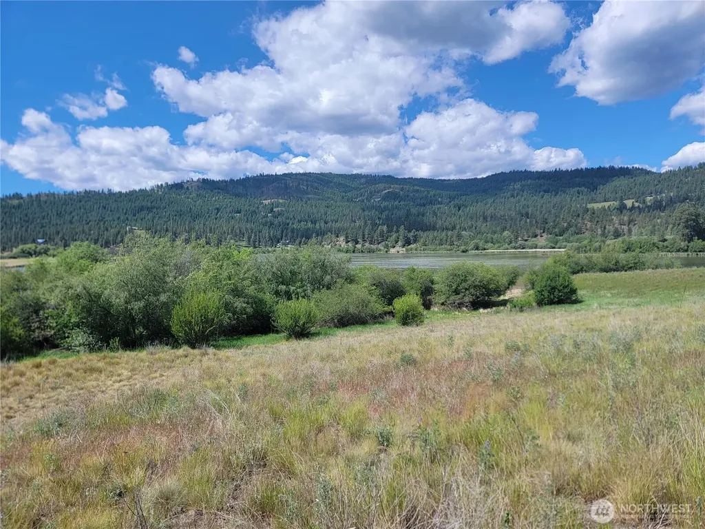 0 Curlew Drive Republic WA 99166