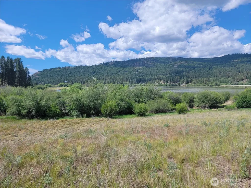 0 Curlew Drive Republic WA 99166