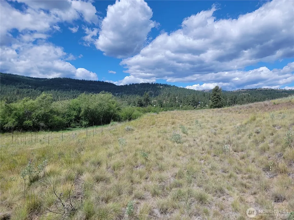 0 Curlew Drive Republic WA 99166