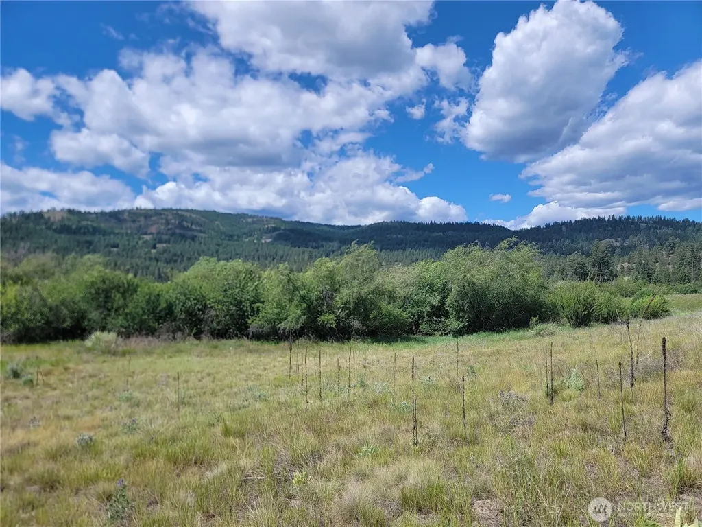 0 Curlew Drive Republic WA 99166