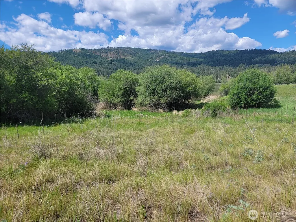 0 Curlew Drive Republic WA 99166