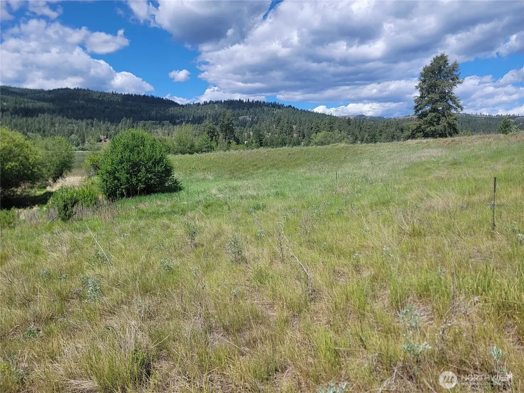 0 Curlew Drive Republic WA 99166