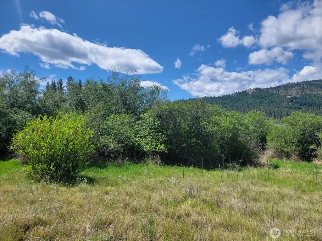 0 Curlew Drive Republic WA 99166
