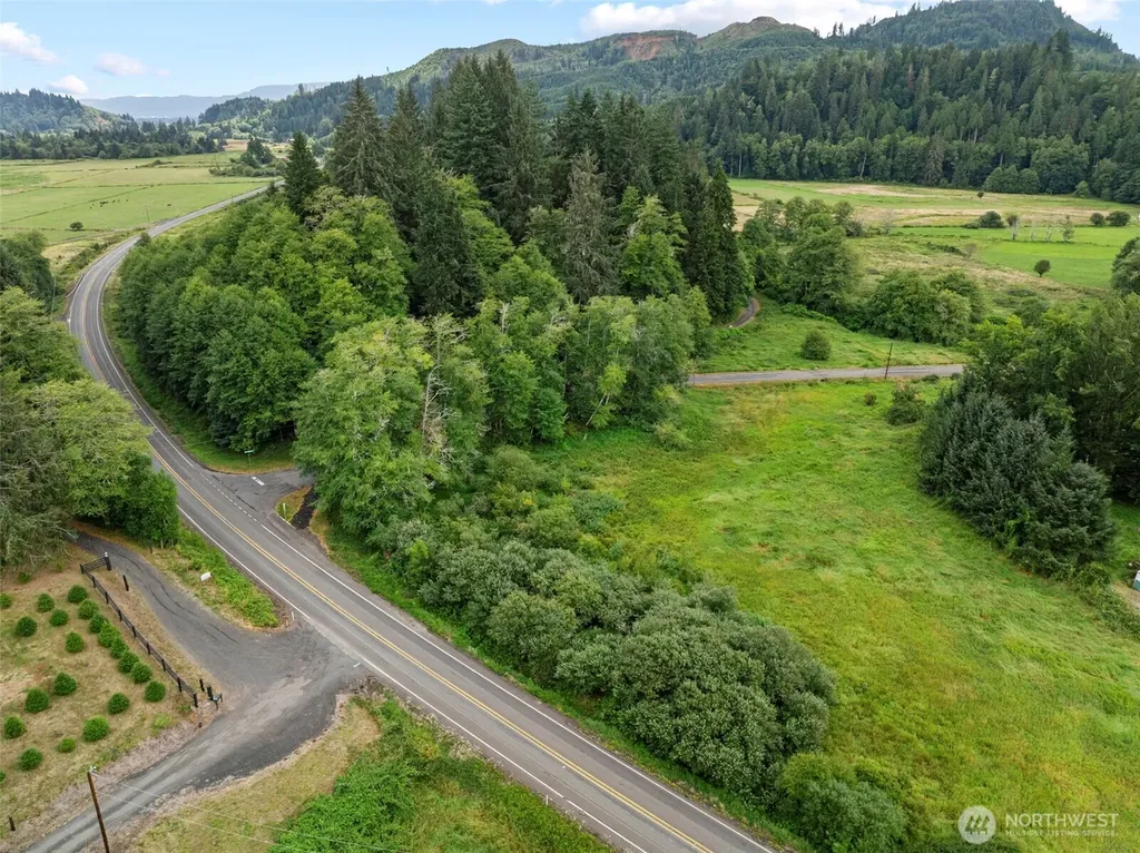 0 W State Route 4 Skamokawa WA 98647