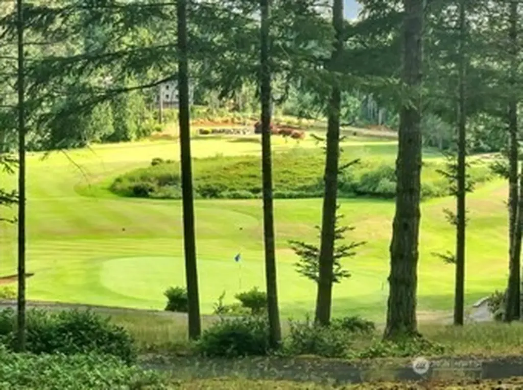 31 E Tintagel Place Shelton WA 98584