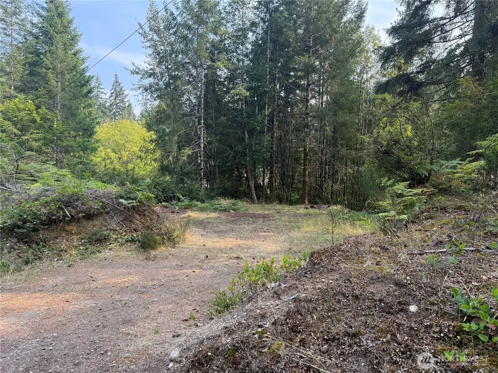 31 E Tintagel Place Shelton WA 98584