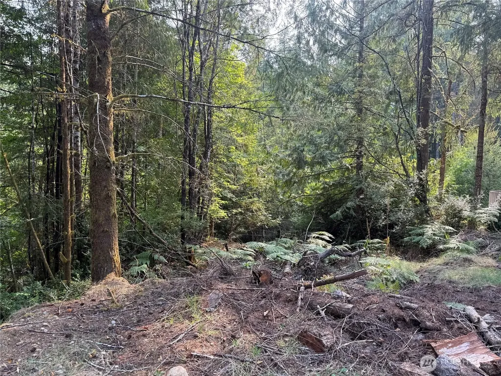 31 E Tintagel Place Shelton WA 98584