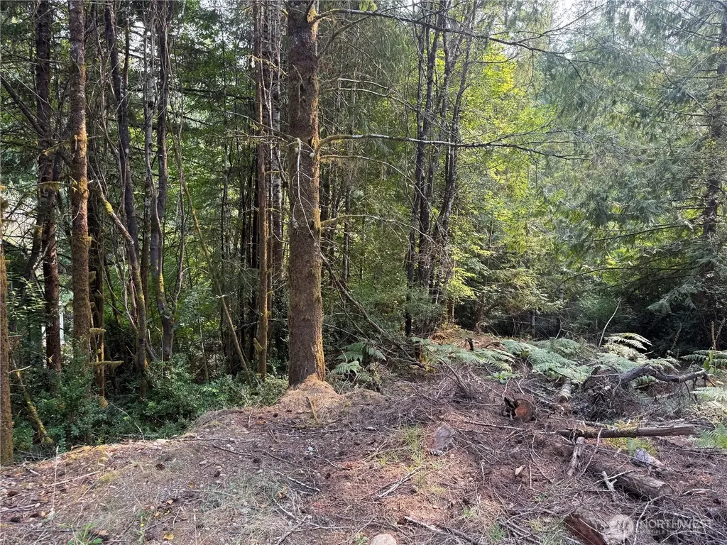 31 E Tintagel Place Shelton WA 98584