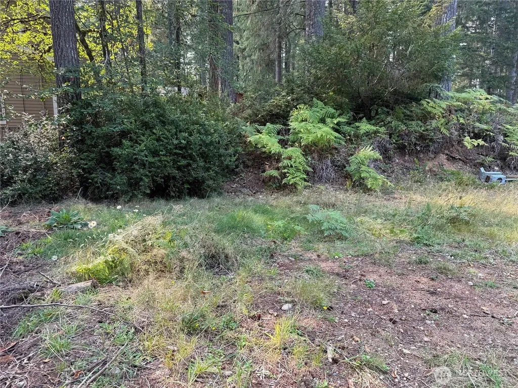 31 E Tintagel Place Shelton WA 98584