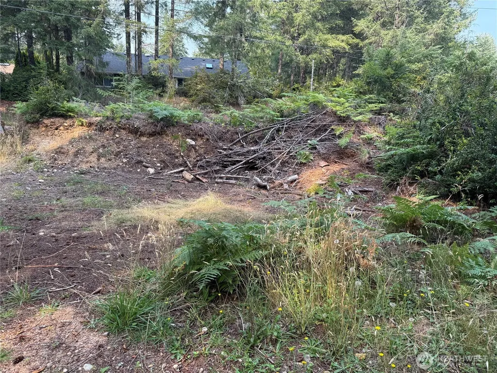 31 E Tintagel Place Shelton WA 98584