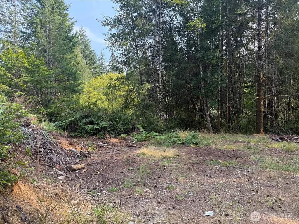 31 E Tintagel Place Shelton WA 98584