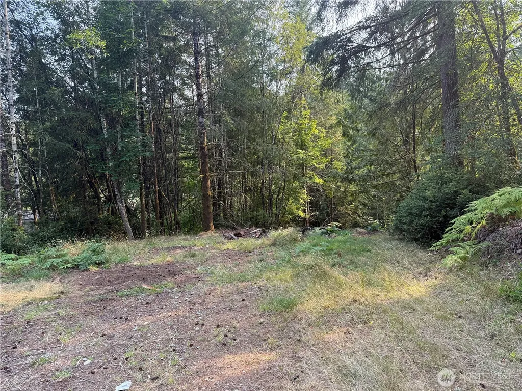 31 E Tintagel Place Shelton WA 98584