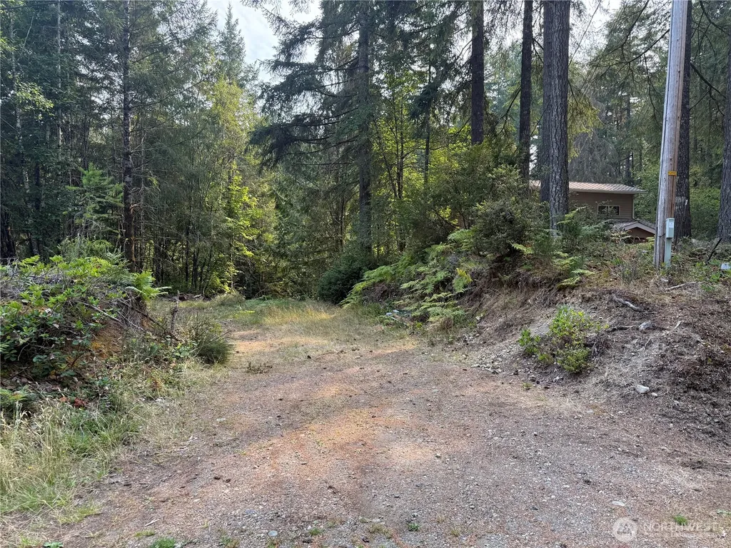 31 E Tintagel Place Shelton WA 98584
