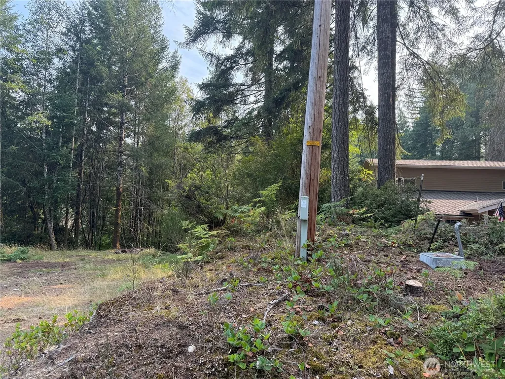 31 E Tintagel Place Shelton WA 98584