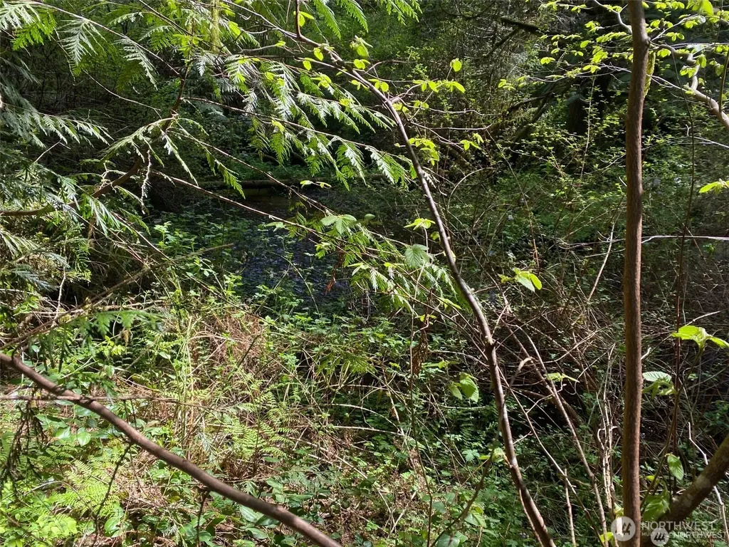 31 E Tintagel Place Shelton WA 98584