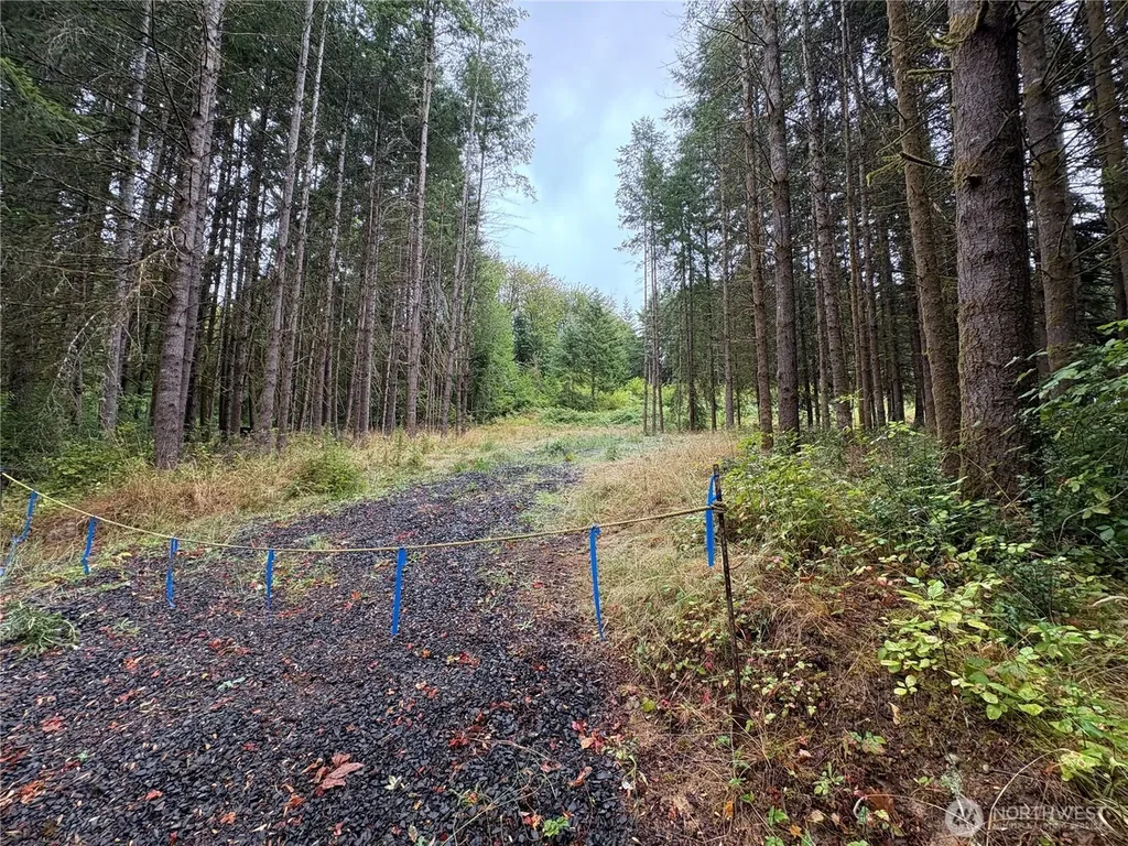 0 SE Rose Street Winlock WA 98596
