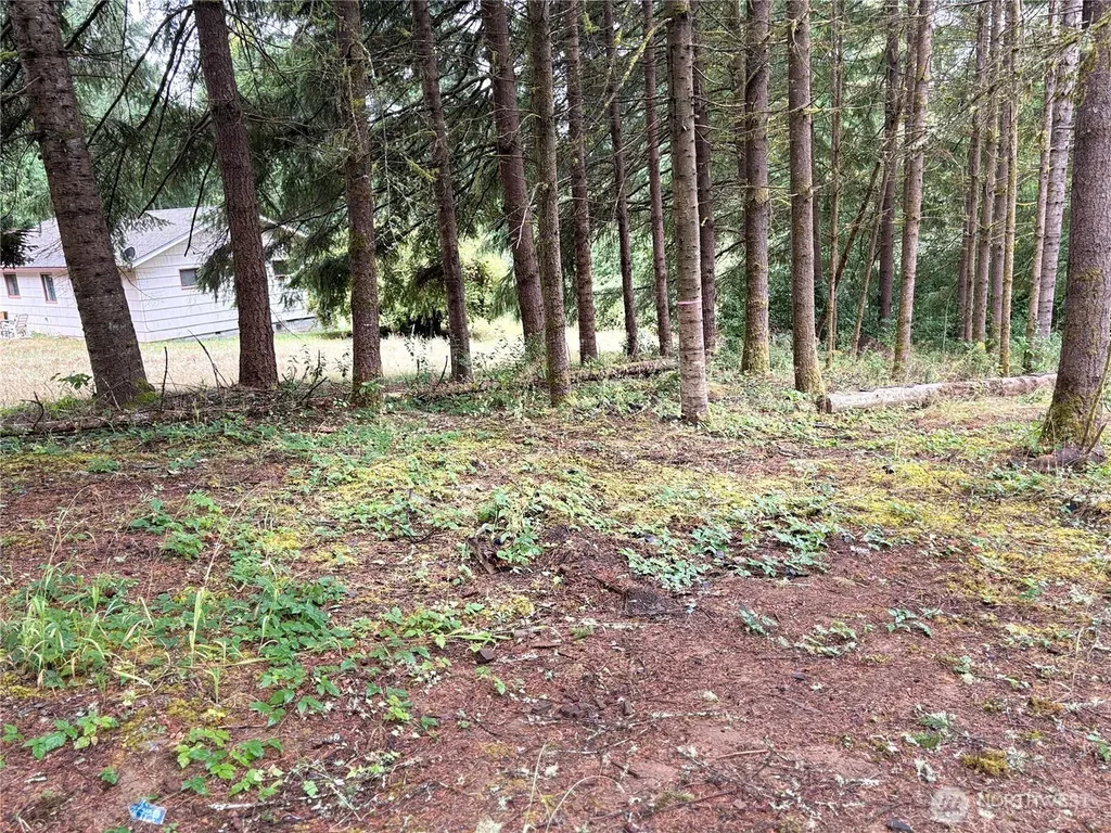 0 SE Rose Street Winlock WA 98596