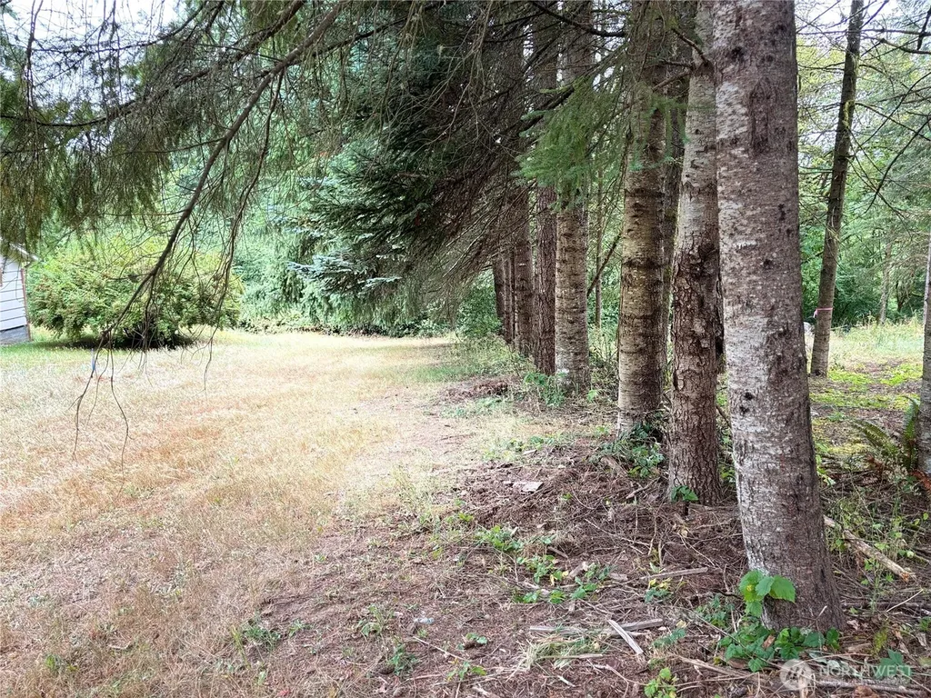 0 SE Rose Street Winlock WA 98596