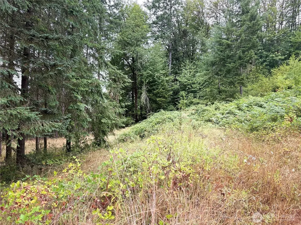 0 SE Rose Street Winlock WA 98596