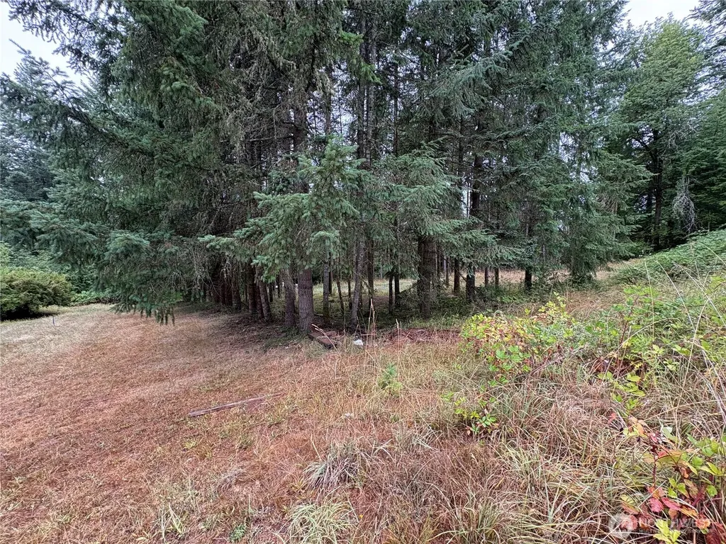 0 SE Rose Street Winlock WA 98596