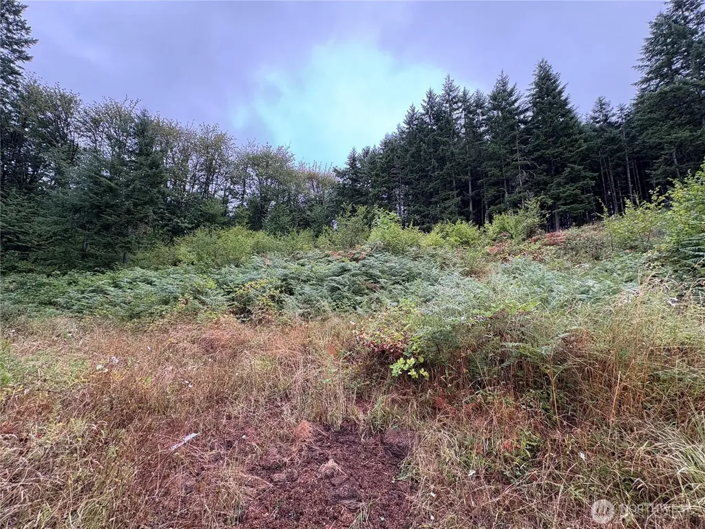 0 SE Rose Street Winlock WA 98596